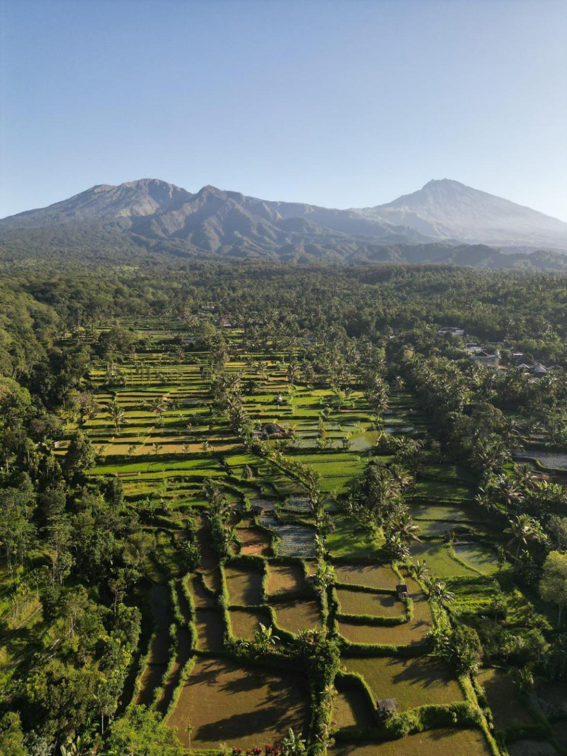 Hotel Tetebatu Fullmoon Exteriér fotografie